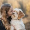 mix-dog-types0